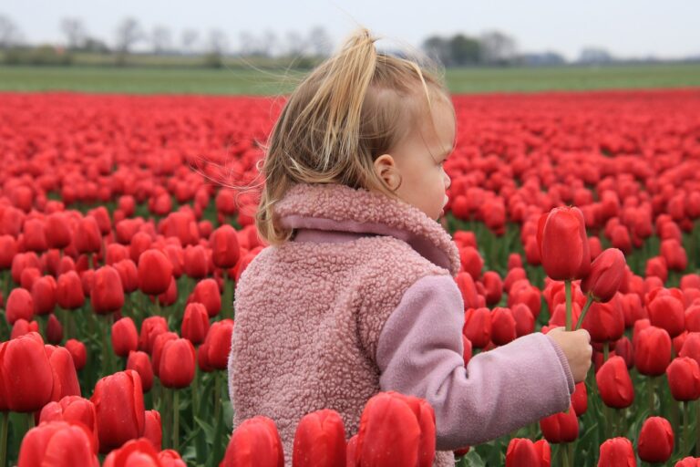 Belgen kiezen steeds vaker voor mindervalide vakantiehuisjes in Nederland