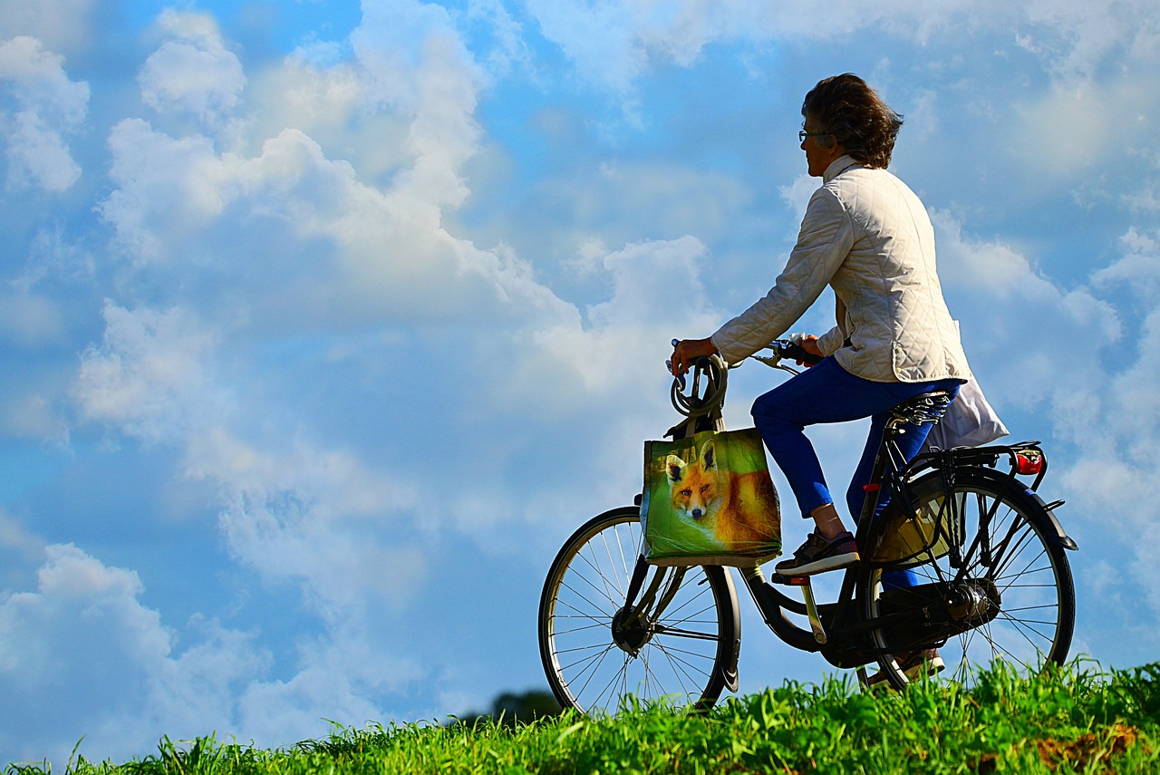 elektrische fiets